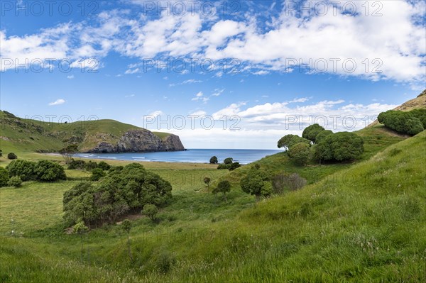 Hickory Bay