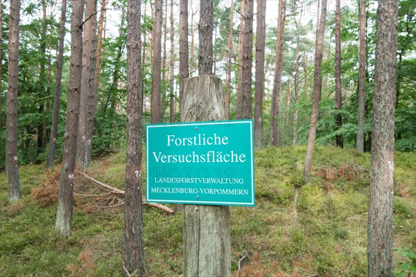 Sign Forest experimental area