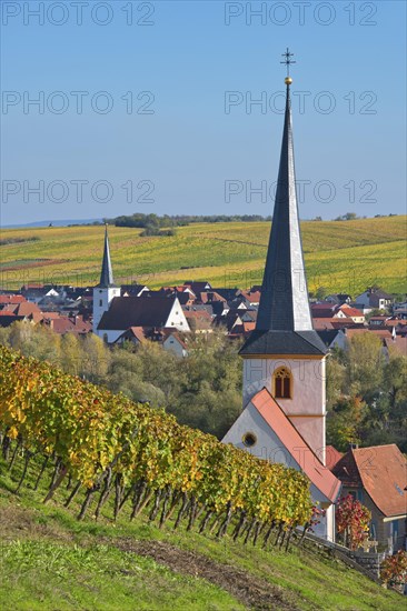 Escherndorf near Volkach