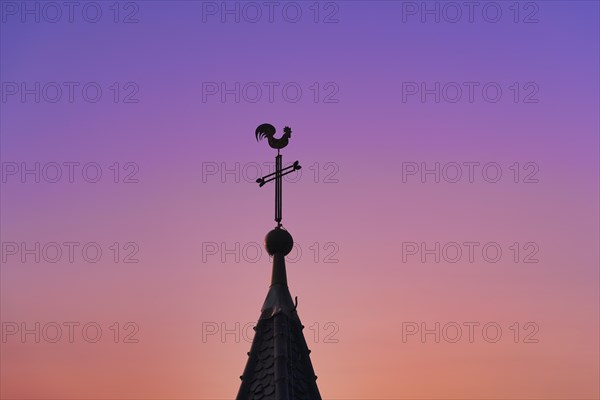 Weathercock on church spire