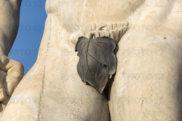 Close-up of fig leaf covering athlete statue at Stadio dei Marmi