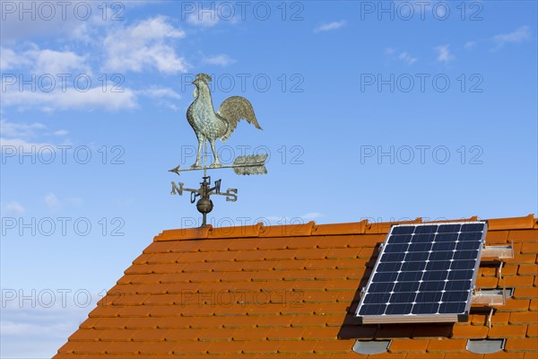 Weathercock with compass rose