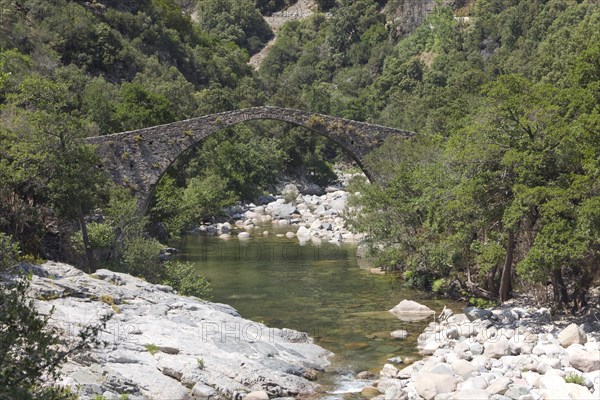 Genoese bridge Ponte Vecchiu in the Spelunca Gorge