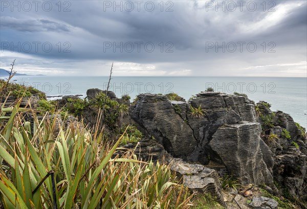 Coastal landscape of sandstone rocks