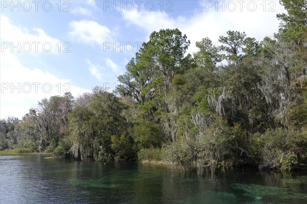 River landscape