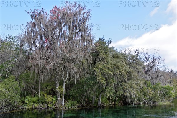 River landscape