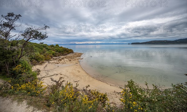 Beach at Sandy Bay