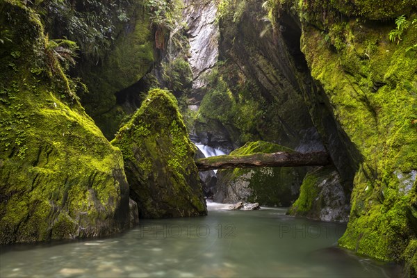 Narrow gorge with waterfall