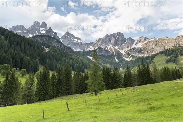 Alpine meadow in front of the summits of the Bischofsmuetze