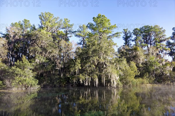 River landscape