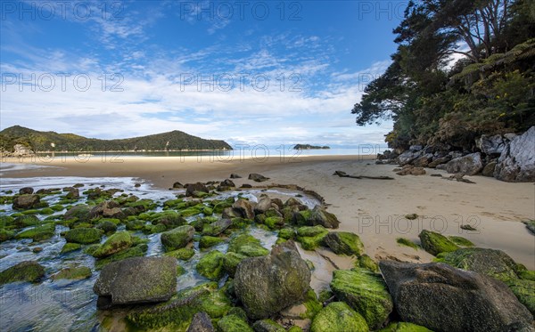 Moss-covered stones on the beach of Stillwell Bay