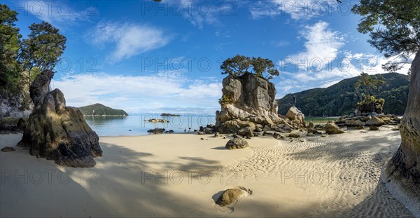 Young man standing on a rock