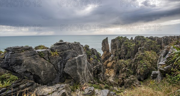 Coastal landscape of sandstone rocks