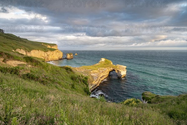 Rocky cliffs at Tunnel Beach