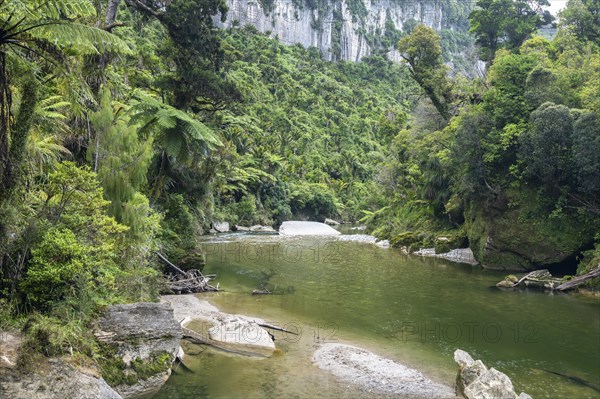 Pororari River