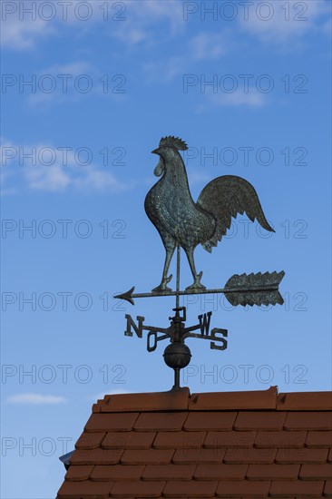 Weathercock with compass rose