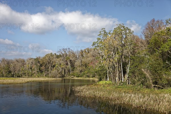 River landscape