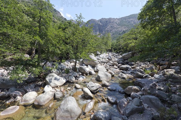 Mountain stream near the Spelunca gorge