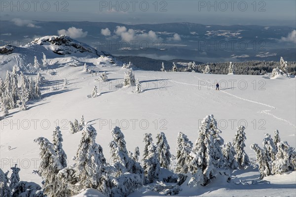 Winter landscape on the Great Arber