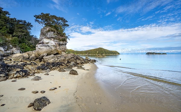 Overgrown rock on the beach of Stillwell Bay