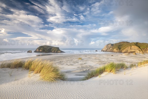 Rock island on Wharariki beach