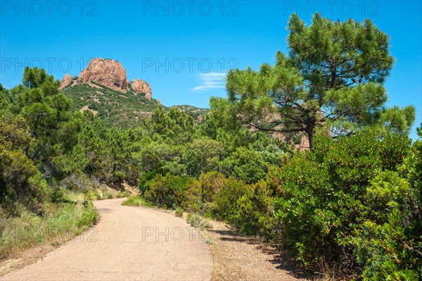 Hiking trail to the Pic du Cap Roux in the Massif de l'Esterel