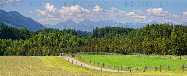 Alpine foothills in Pfaffenwinkel with hay meadow