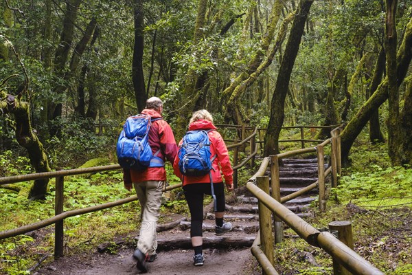 Couple hiking on forest trail in the laurel forest