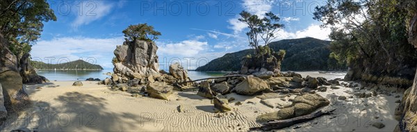 Overgrown rock on the beach of Stillwell Bay