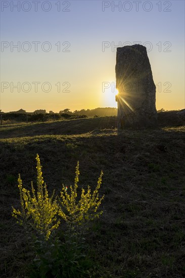 Dolmen Les Pierres Plates in the evening light