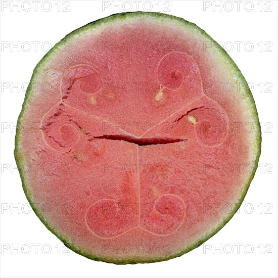 Watermelon (Citrullus lanatus)