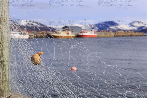 Fishing net with mussel