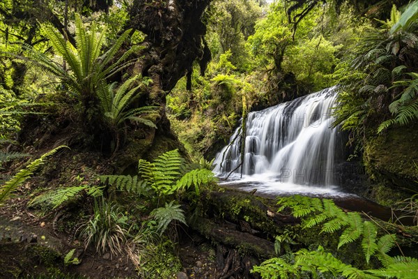 Lower Waipohatu Waterfall