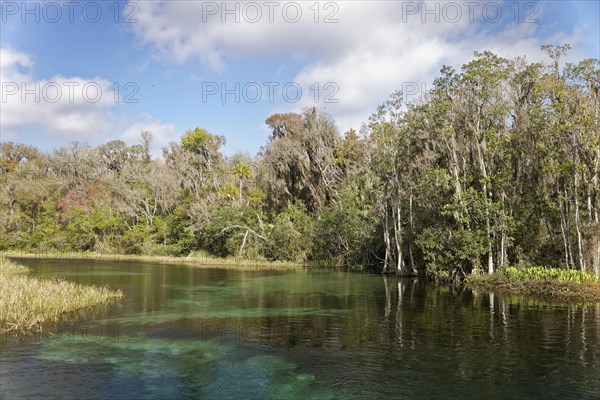 River landscape