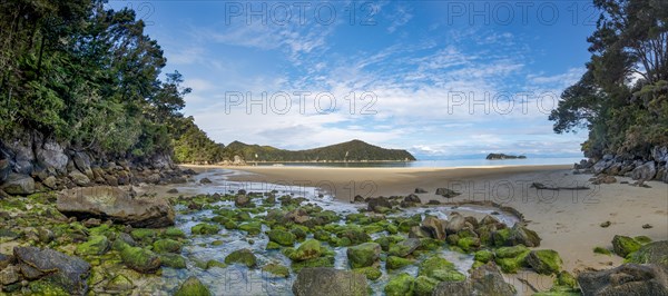 Moss-covered stones on the beach of Stillwell Bay