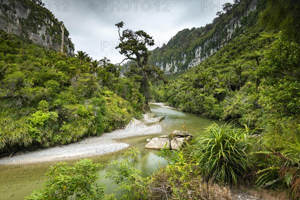 Pororari River