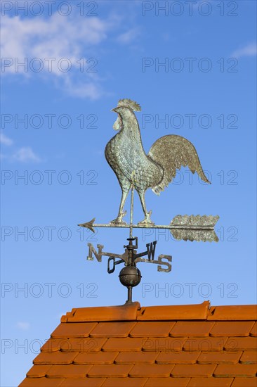 Weathercock with compass rose