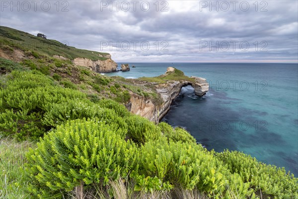 Rocky cliffs at Tunnel Beach