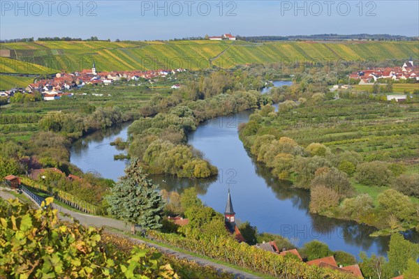 Main loop in autumn