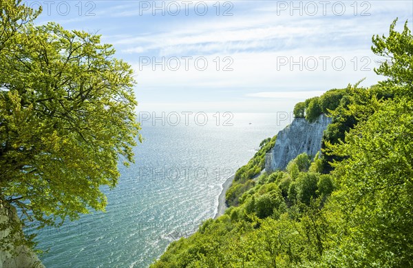 View from the viewing platform on the Koenigsstuhl to the Baltic Sea