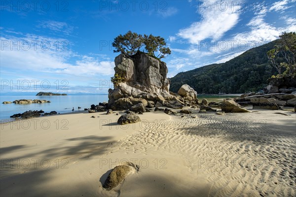 Overgrown rock on the beach of Stillwell Bay