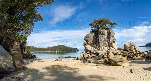 Overgrown rock on the beach of Stillwell Bay