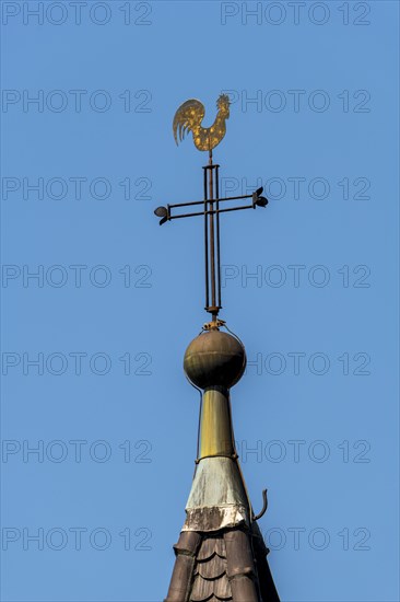 Weathercock on church spire