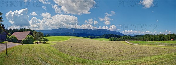 Alpine foothills in Pfaffenwinkel with hay meadow