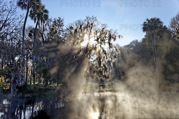 River landscape