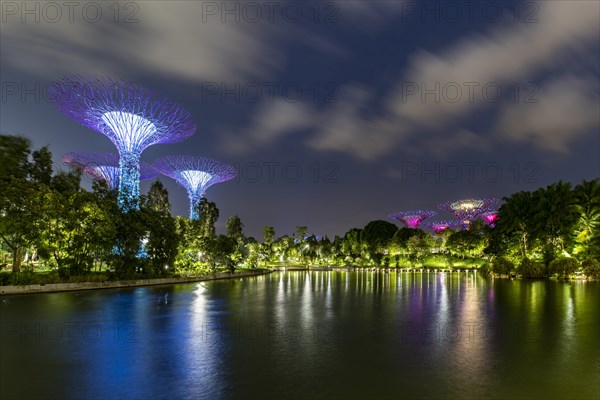 Supertrees at dusk