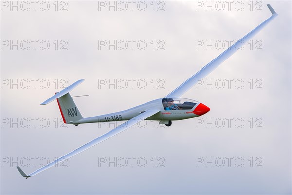 Glider in flight