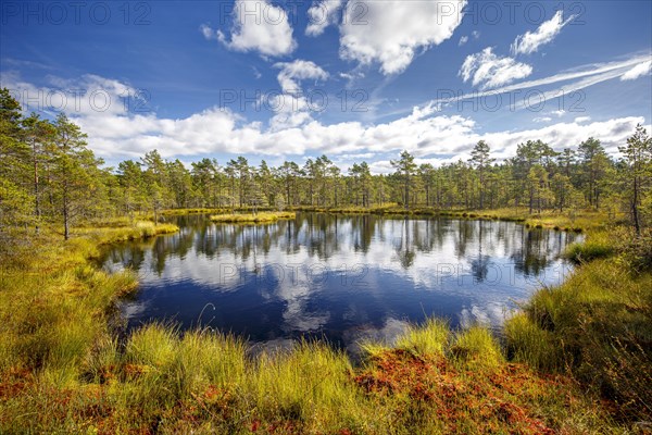 Moor landscape with lake and cloudy sky