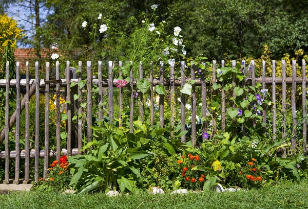 Farmer's garden