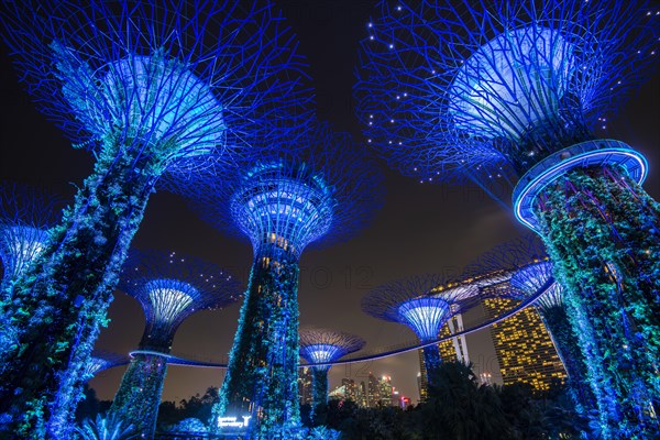 Supertrees at night